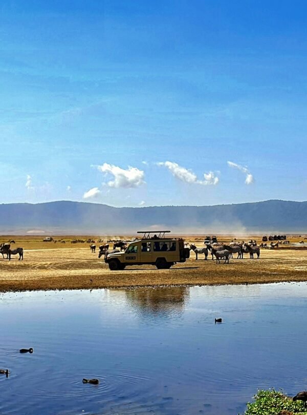 patricia-trisha-berberat-ltYLxH85MiU-unsplash