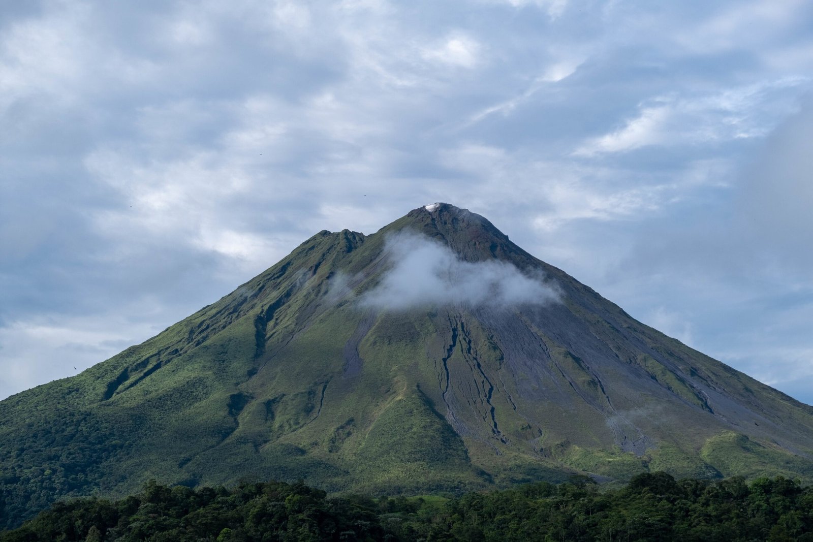 A shot of a breathtaking giant mountain covered in forests, gleaming under the cloudy sky